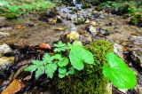 201309211218-AJS_7625.jpg